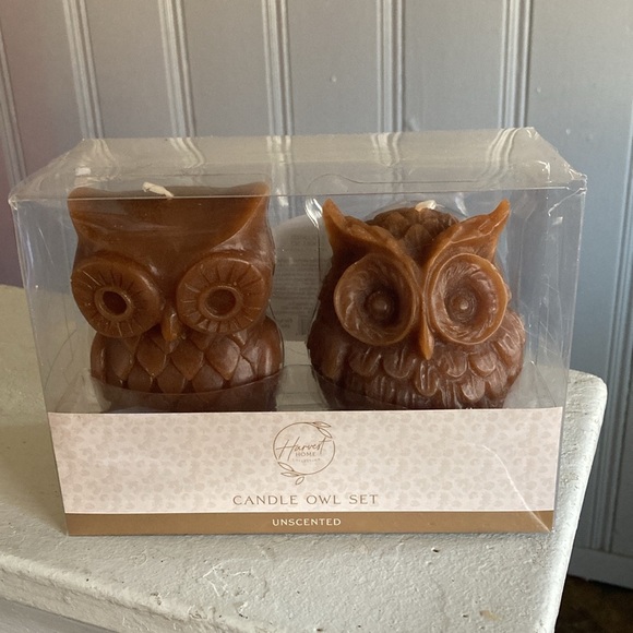 BNIB- 4.7"- Hand Carved- Unscented- 2 Pack- Brown Owl Figural Candles Decor Set - Picture 11 of 17